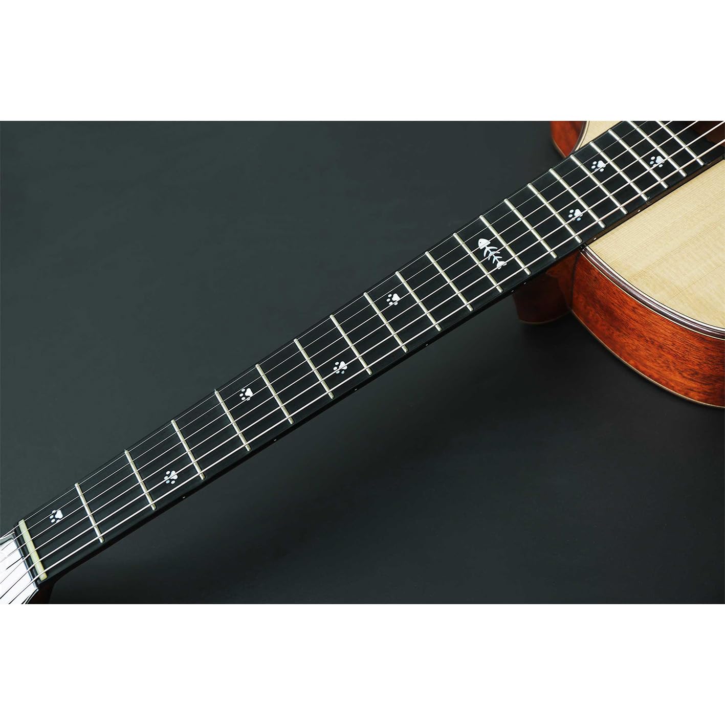 ギター cat 楽天市場】ネコ（ギター｜ギター・ベース）：楽器・音響機器の通販