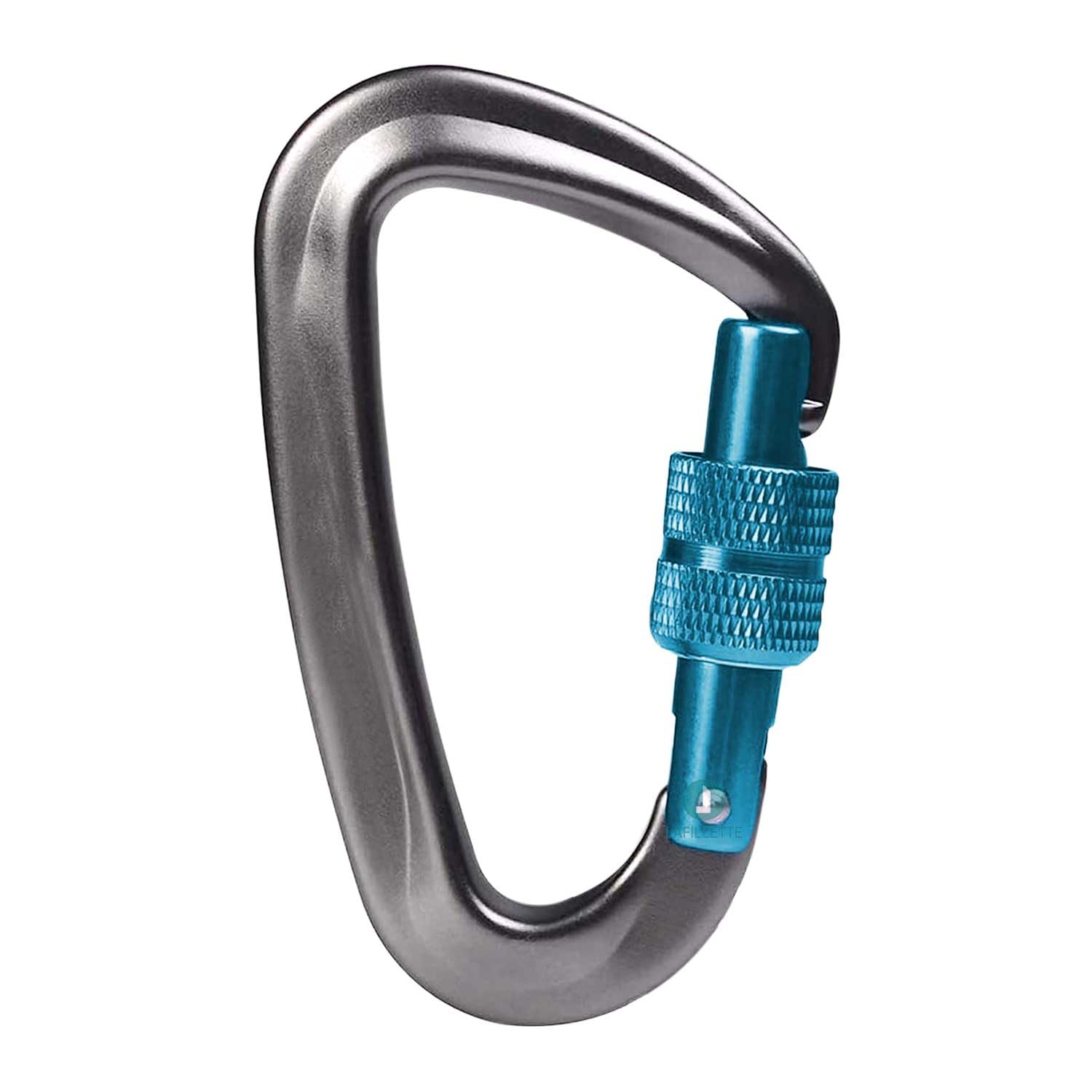 LAFILLETTE Carabiner Clip, Keychain Clip Spring Snap Hooks, Carabiners for Camping, Hiking, Outdoor, Dog Leash, Key Chains (Design-4) (B0D293D5HN) Amazon Price History, Amazon Price Tracker