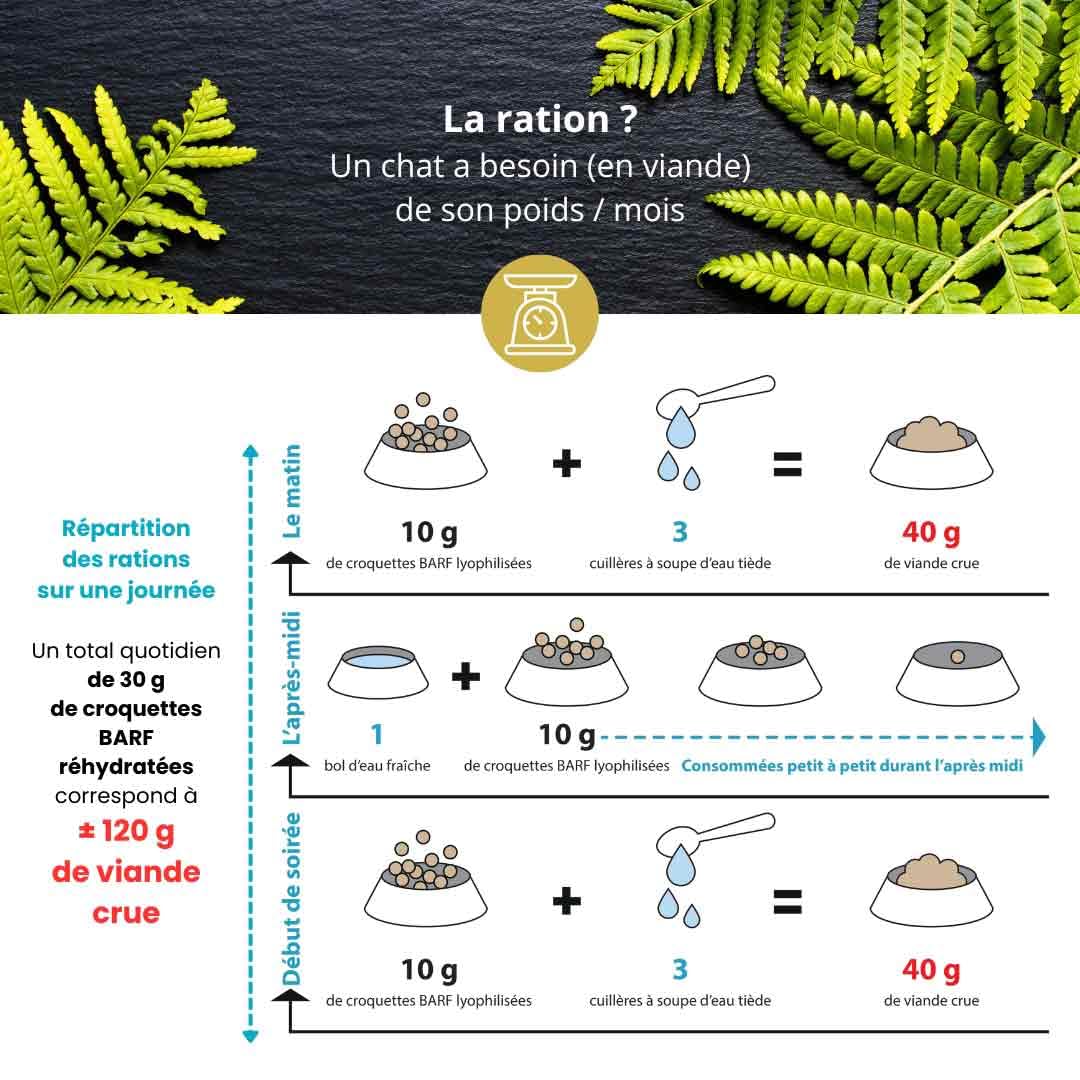 Filet de Dinde - Croquette Barf - Filet de Dinde lyophilisé pour Chat (Large)