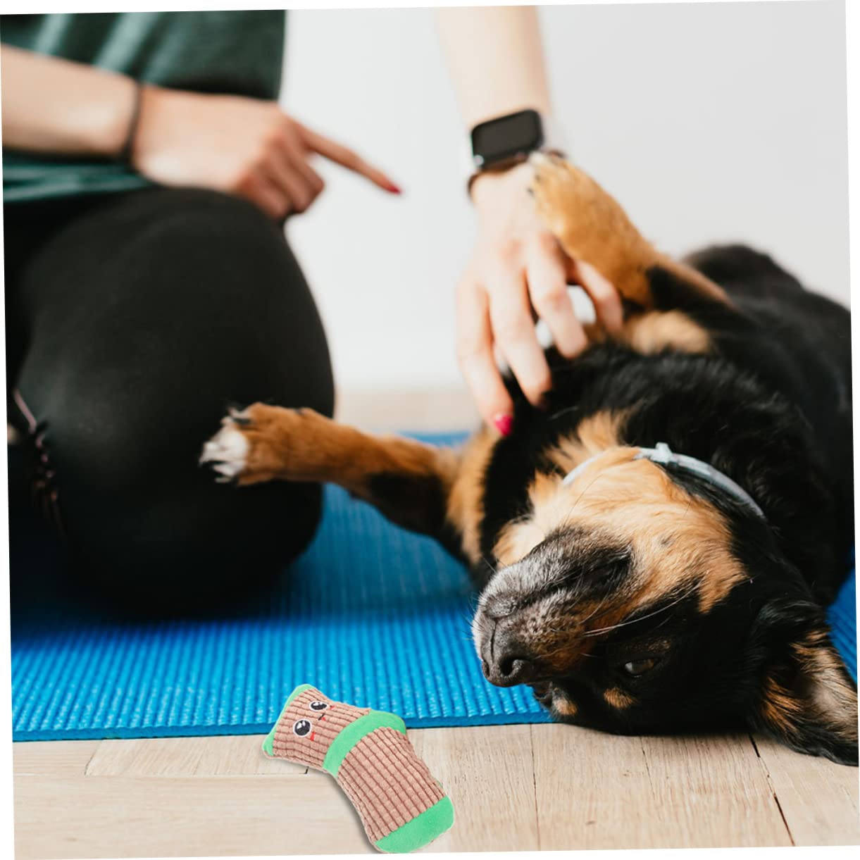 INOOMP 6paires Chaussettes à Jouer pour Chiens De Jouets Squeaky pour Chiots Stimule Instinct De Jeu Et Le pour Occupation Divertissement des Chiens