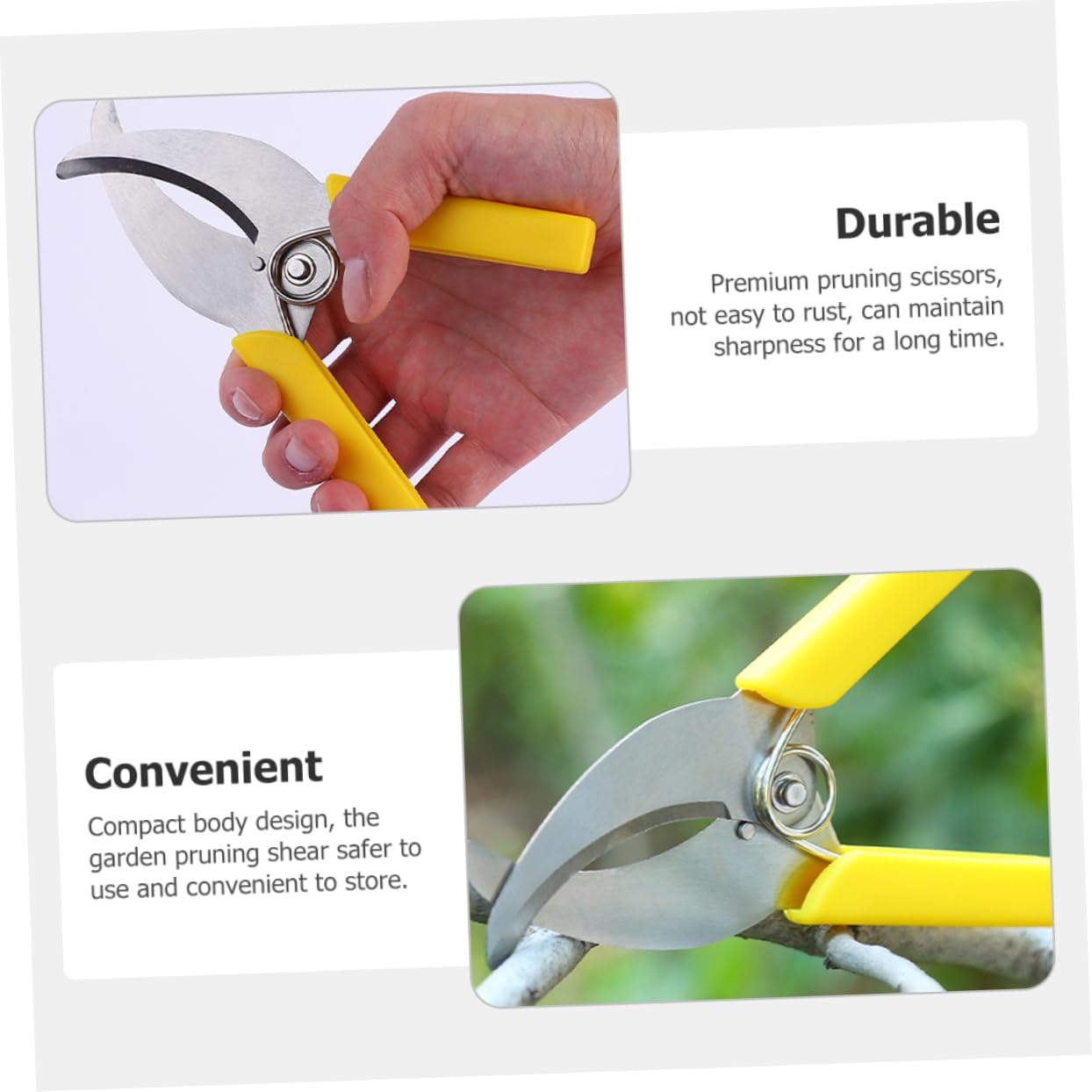 Abaodam 3 Ensembles Cisailles À Ceinturer Outil De Plantation De Fruits Outils À Main Du Jardin Outil De Jardinage À Main Outils À Main Le Jardinage Acier Inoxydable 2 Pièces * 3