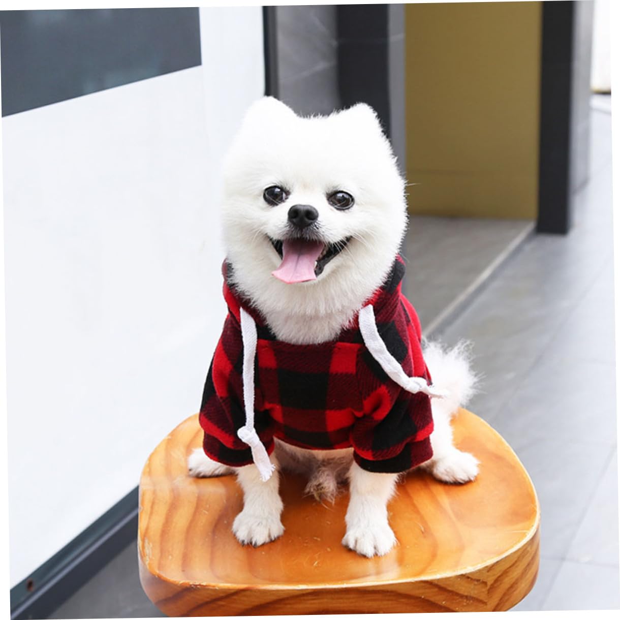 Sosoport 3 Pezzi Costume Natalizio Per Animali Domestici Giacca Per Cani Di Cintura Abbigliamento Per Cani Alla Moda E Pratico Per Natale