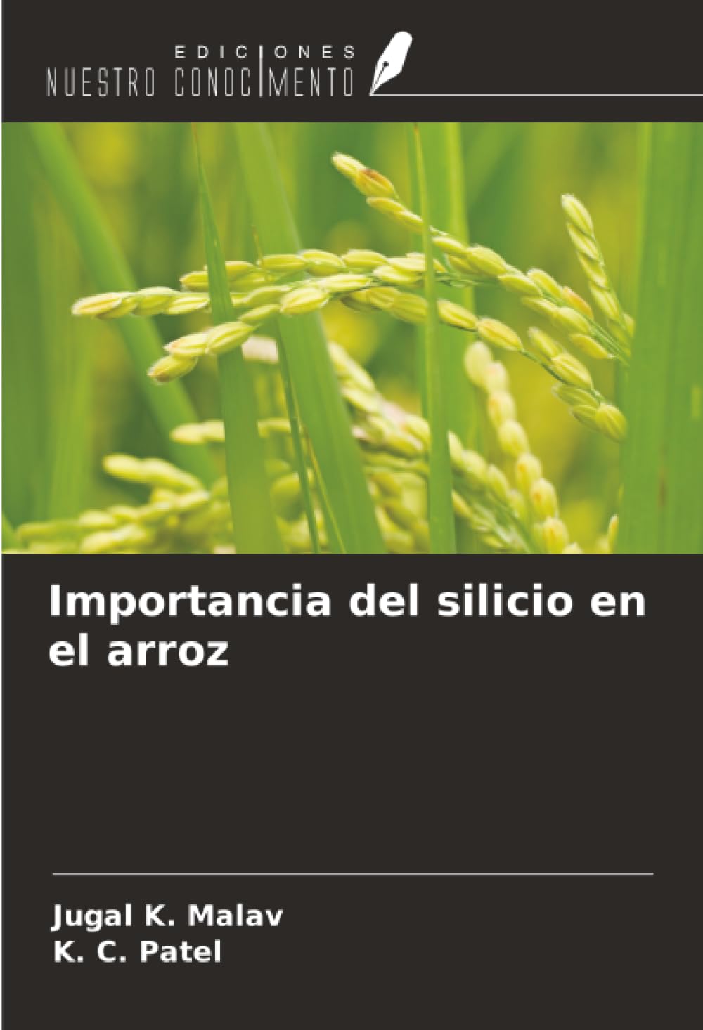 Importancia del silicio en el arroz