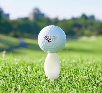 61xZDCqNwNL._AC_UF350,