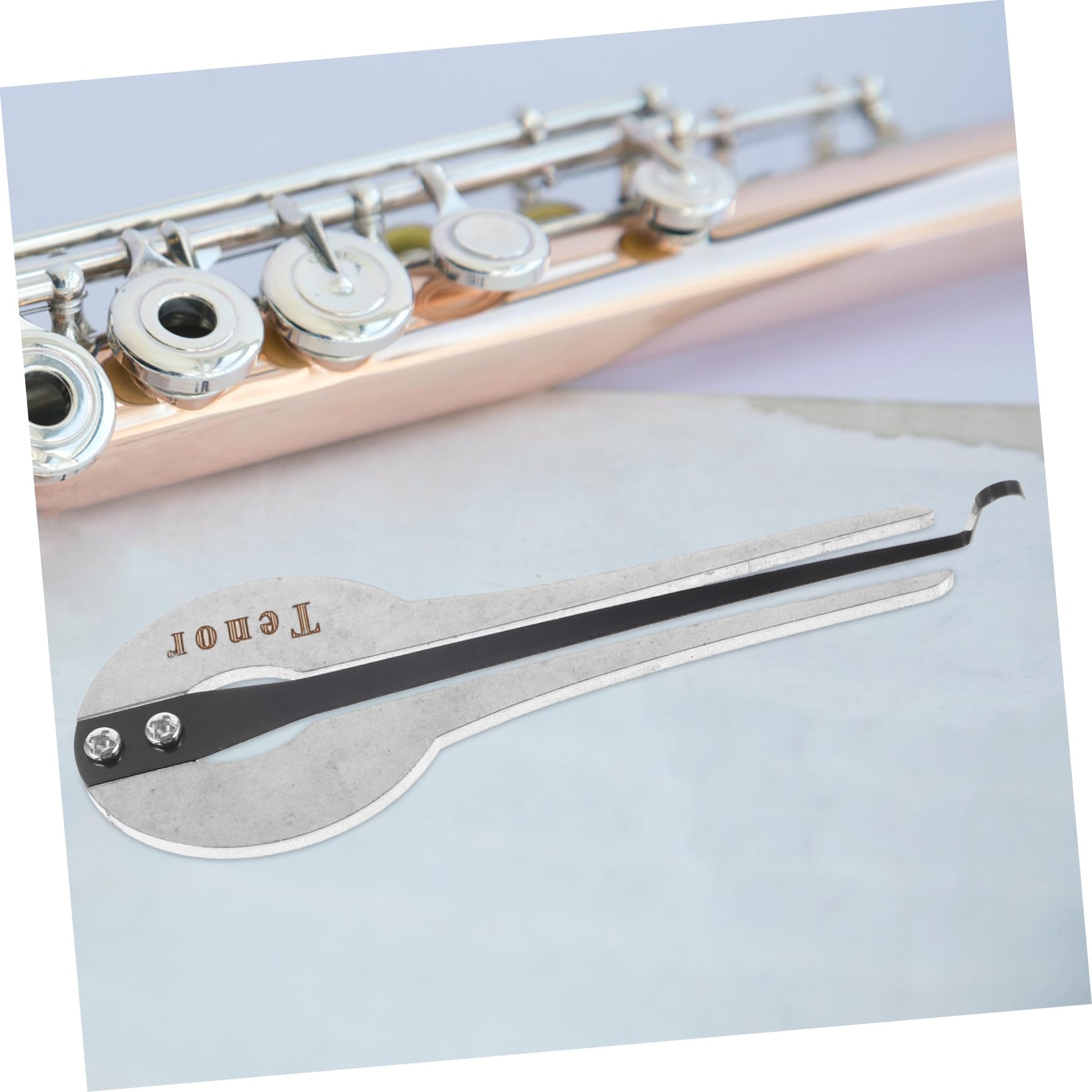Arpa de Boca Portátil Fácil de Usar para Principiantes de Metal Estilo Étnico Sonido Rico en Armónicos para Interpretar Música Folclórica