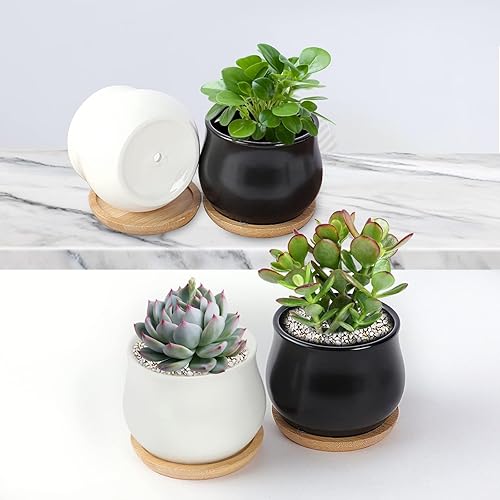 Miniatura 9 de Paquete de 2 macetas para suculentas, mini macetas de cerámica de 2.5 pulgadas para plantas de flores o cactus con orificio de drenaje, plantas no