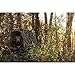 Momarsh Invisi Lab Dog Blind for Waterfowl Hunting & Gun Dogs | Original Bottomland