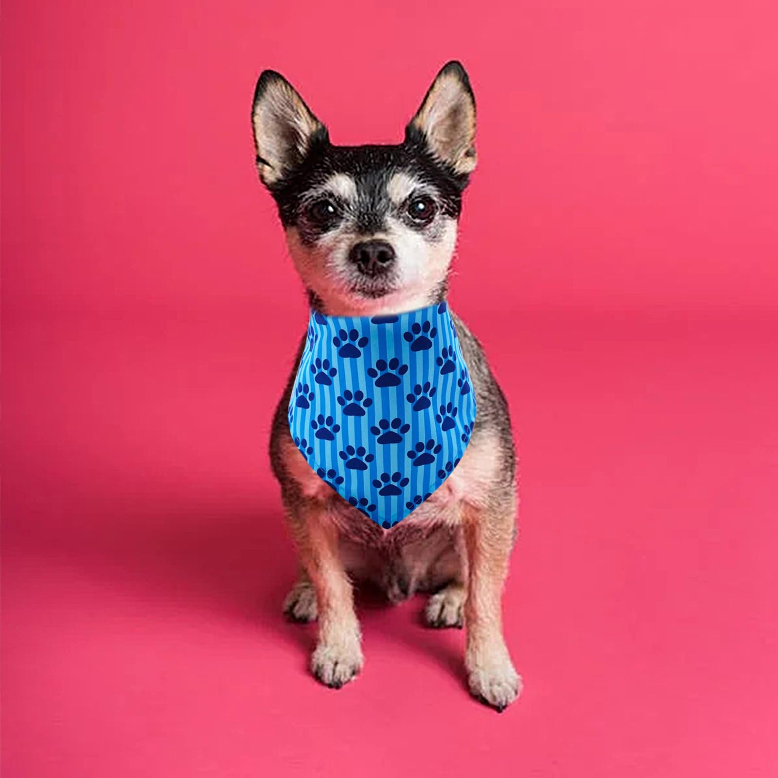30 bandanas para perros pequeños con estampado de patas, a granel para perros, gatitos, conejos, bufandas ajustables para gatos, uso diario, fiesta de cumpleaños, boda, vacaciones, hueso,