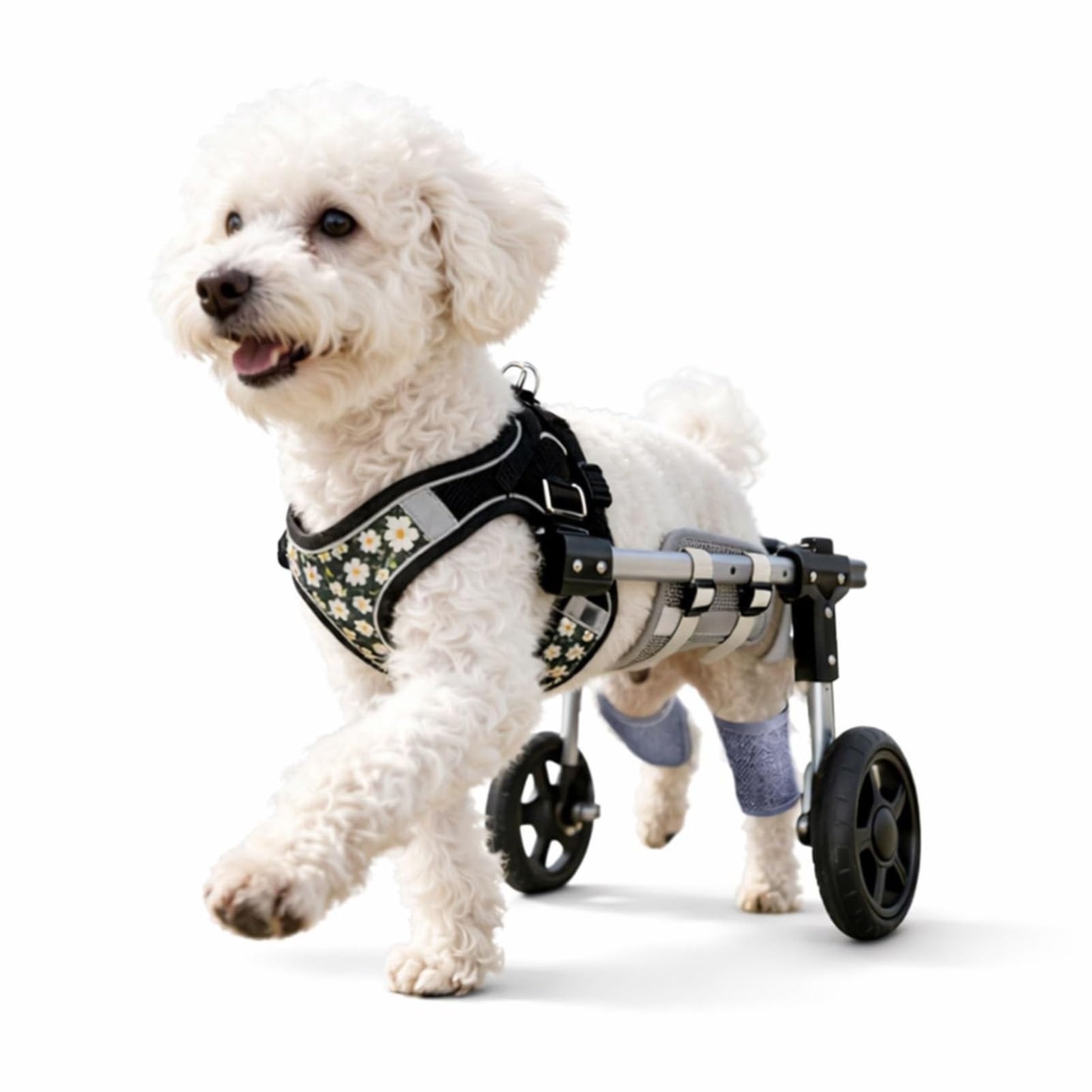SJMDMZD Adjustable Dog Wheelchair for Back Legs, Dog Cart for Pet/Doggie Disabled Hind Legs Walking, 2/4-Wheel Mobility Aids for Pets Hind Limbs Black 4Wheel L