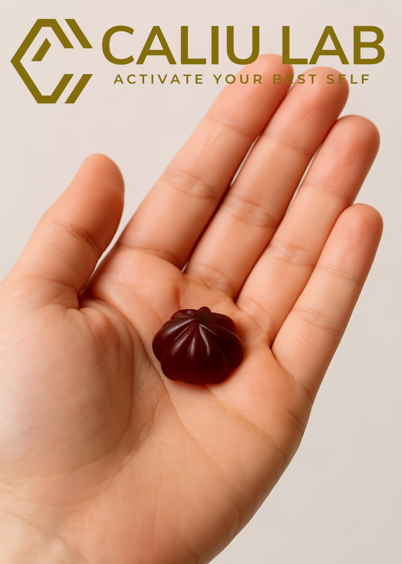 Shilajit Puro | 180 Capsule | 50% Acido Fulvico | 6 mesi | 144000mg | Con Polvere Naturale di Ashwagandha | +85 Minerali | Integratore in Compresse per Uomini con Resina Pura di Shilajit dell'Himalaya
