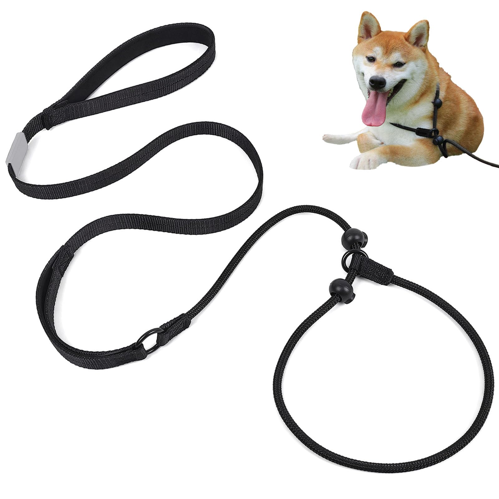 Dog Slip Lead for Small Medium Large Dogs, No-Pull Training Leash with Reflective Stitching, Heavy Duty Nylon Rope with Comfortable Handle, Adjustable Collar No Harness Needed (Black, 170cm)