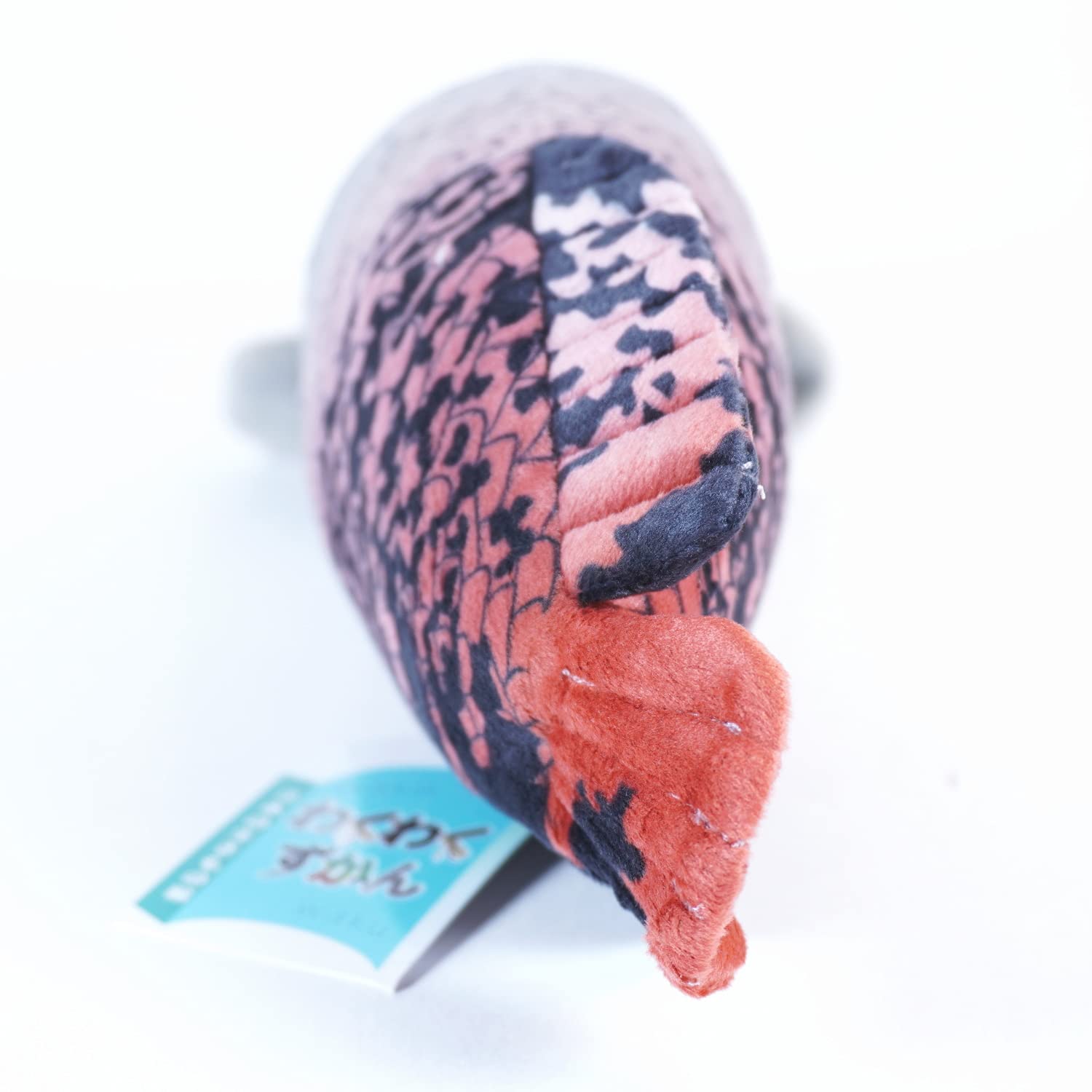 Amazon.co.jp: TSTアドバンス わくわく図鑑 ピラルク 35cm : おもちゃ