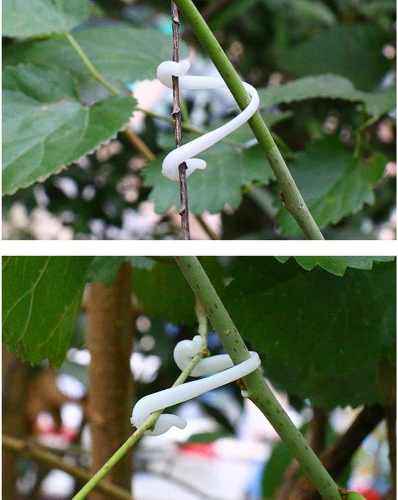 Pince Plante Grimpante Giantree Lot De 50 Attaches Pour Plantes - Clips De Soutien Pour Orchidées Et Plantes Grimpantes Pinces Orchidées Jardin