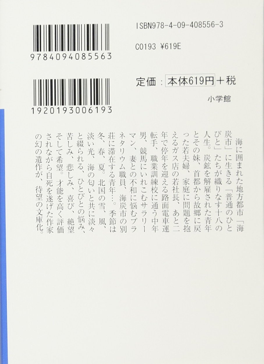 Amazon.co.jp: 佐藤 泰志: 本、バイオグラフィー、最新アップデート