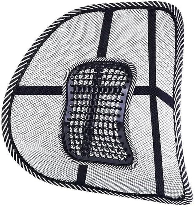 BINSBARRY Ventilation Back Rest with Lumbar Support Mesh Cushion Pad,Universal Back Lumbar Support for Chairs, Office Chair, Home,Car Seat Lumber Back Support, Seat to Relieve for Back Pain (Black) (B0CXKB8S9N) Amazon Price History, Amazon Price Tracker