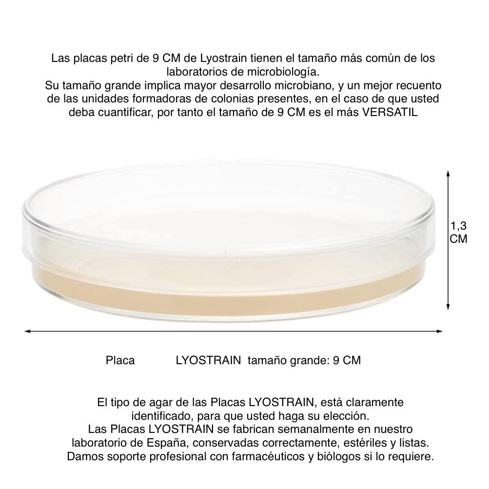 PIASTRE PETRI CON AGAR MICROBIOLOGIA TSA PER LA CRESCITA DEL BATTERO (20)
