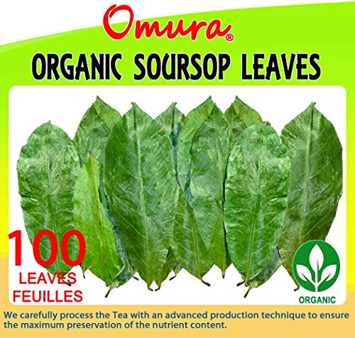 Amazon Com Omura Organico Soursop Graviola Guyabano Corossol 100 Hojas Comida Gourmet Y Abarrotes