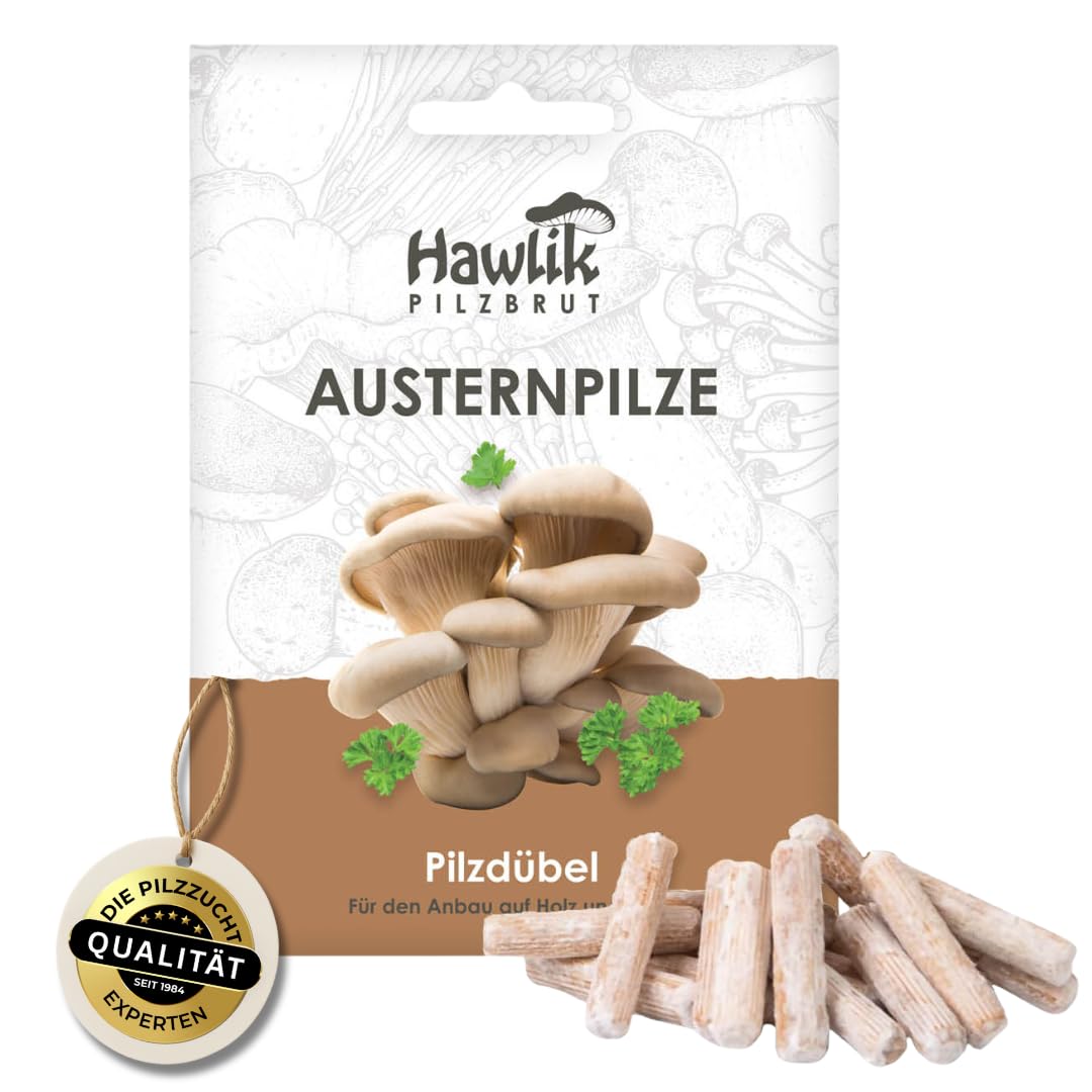 Hawlik Pilzbrut I das Original I Austernpilze als Dübel-Brut zum selber züchten - kinderleicht frische Pilze ernten - 20 Pilzdübel für die Zucht auf Holz, Stroh und Kaffeesatz.