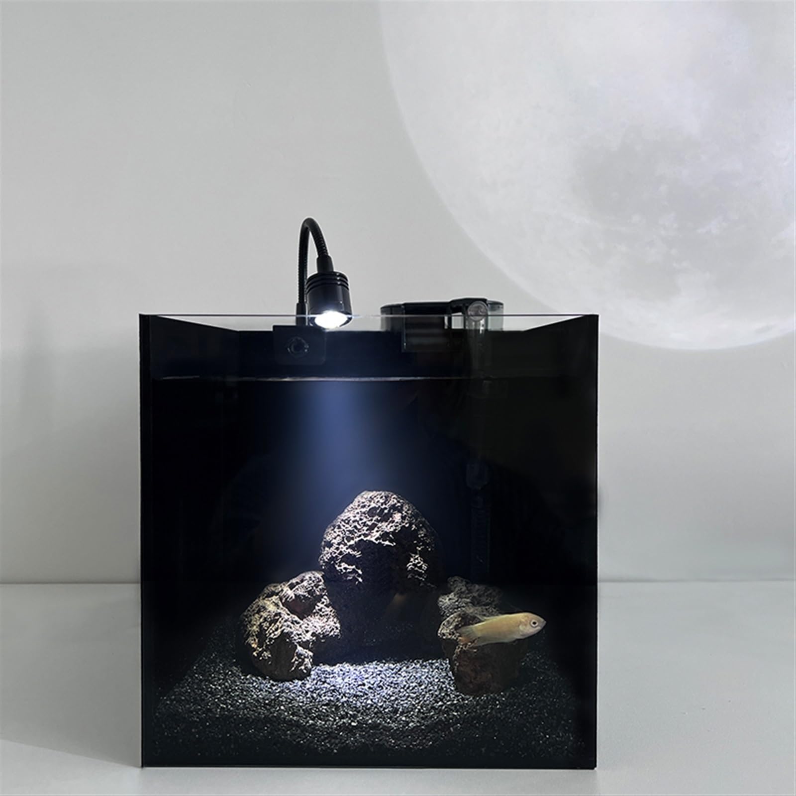 Acquario Acquario in Vetro Quadrato neroPiccolo Acquario da Tavolo in Vetro monoblocco con Accessori Acquario per Pesci