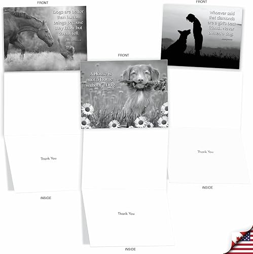 Miniatura 4 de The Best Card Company Juego de 10 tarjetas de agradecimiento surtidas en caja de 4 x 5.12 pulgadas con sobres (10 diseños, 1 cada uno) Canine