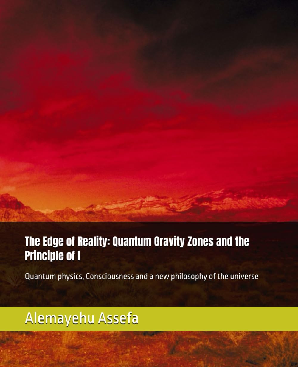 The Edge of Reality: Quantum Gravity Zones and the Principle of I: Quantum physics, Consciousness and a new philosophy of the universe