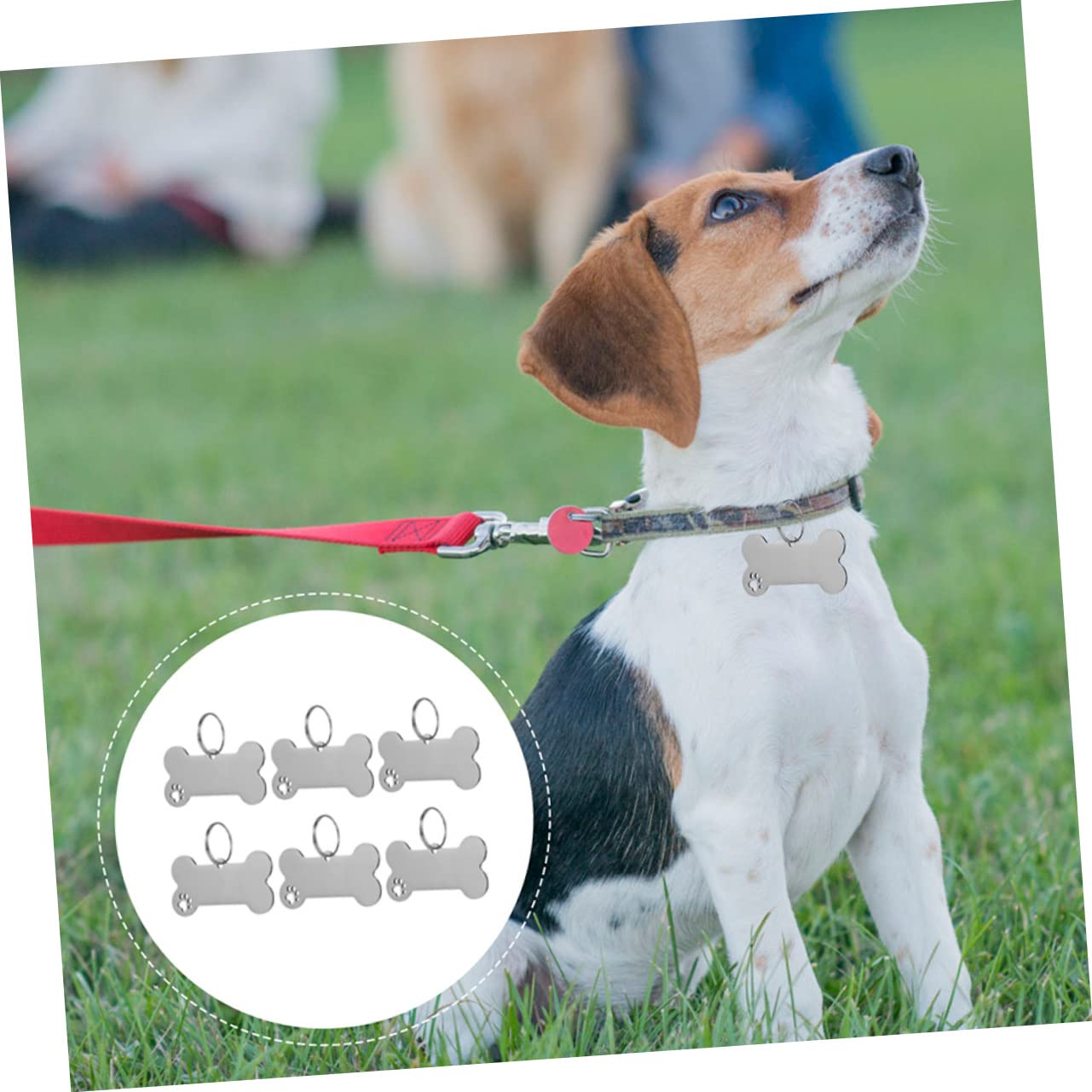 POPETPOP 30piezas Placas De Identificación Para Perros y Gatos De Inoxidable Grabadas Nombre Teléfono De Unidades Diseño Elegante y Resistente Para Mascotas
