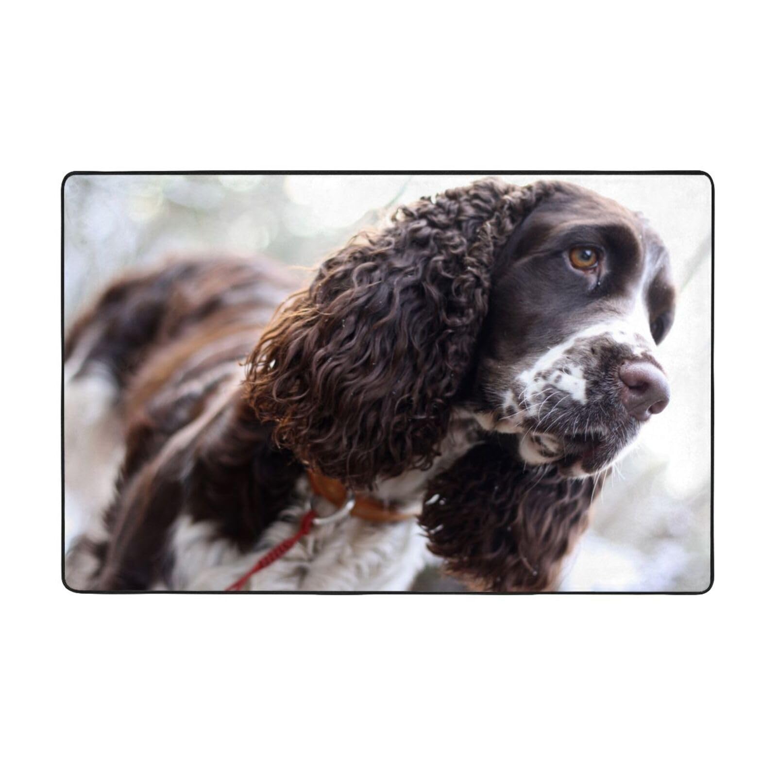 Englischer Cocker Spaniel, braun-weiße lockige Hunde, Großer Teppich, rutschfeste Fußmatte für Wohnzimmer und Schlafzimmer, 150 x 100 cm