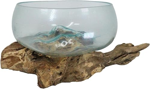 Ebros Gift Madera flotante balinesa de madera gamal natural hecha a mano con vidrio fundido soplado a mano para servir frutas, grande de 14 pulgadas