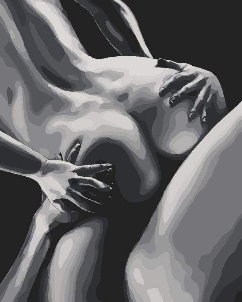 Lsdakoop Paint By Number Kit Naked Men And Women Passion Painting By Numbers For Adults DIY Oil Painting Kit For Kids Beginners 40 x 50cm