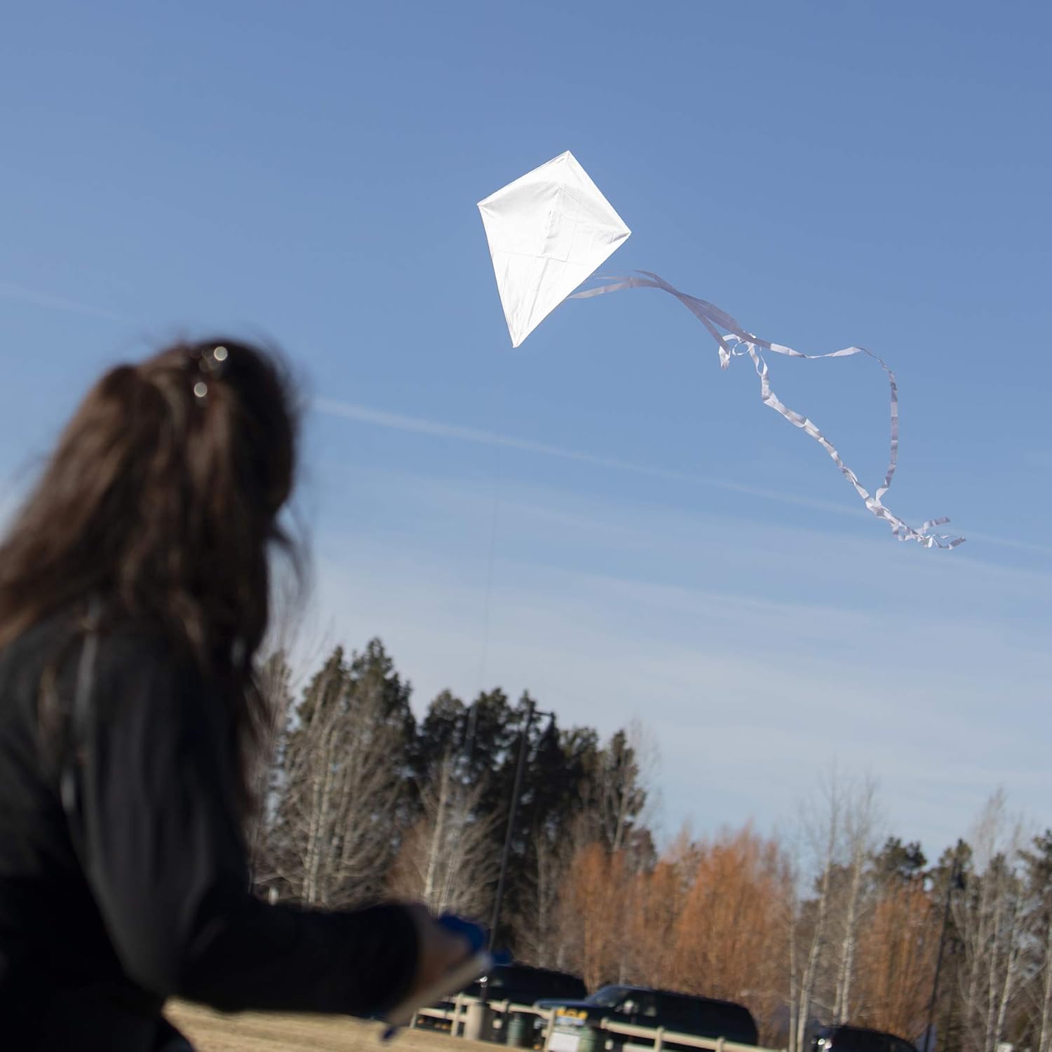 In the Breeze 3325 - Coconut 30 Inch Diamond Kite - Solid White, Fun, Easy Flying Kite