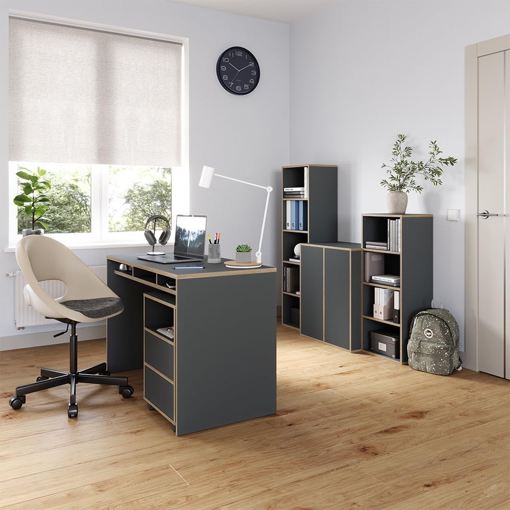 Vicco Rollcontainer Tetrix, Anthrazit, 42 x 55 cm | mit Regalen und 2 Schubladen, auf Rollen für flexible Nutzung im Büro oder Homeoffice