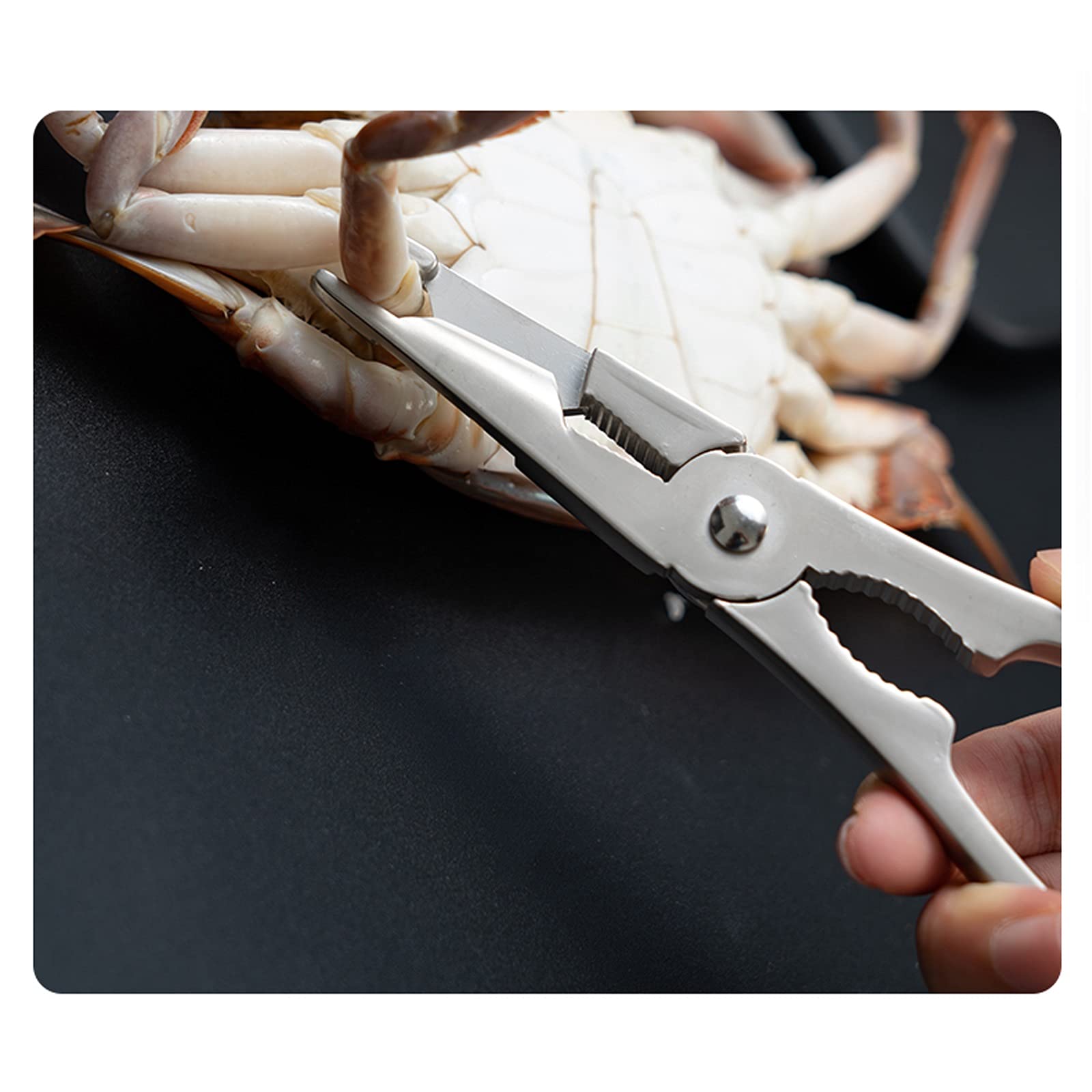 Juego de herramientas para mariscos, 6 piezas, galletas de mariscos y tenedor de mariscos, juego de cascanueces con caja de almacenamiento, herramientas domésticas para mariscos, mariscos, nueces, h