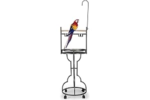 72" Large Parrot Stand: Spacious Haven for Feathered Companions