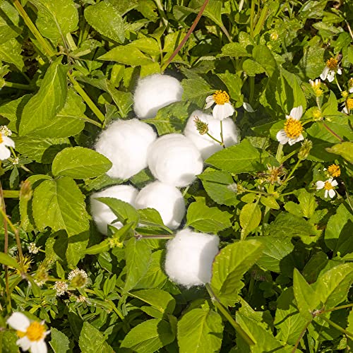 Sky Organics Organic Jumbo Cotton Balls For Sensitive Skin, 100% Pure Gots Certified Organic For Beauty & Personal Care, 100 Ct. #TOP6