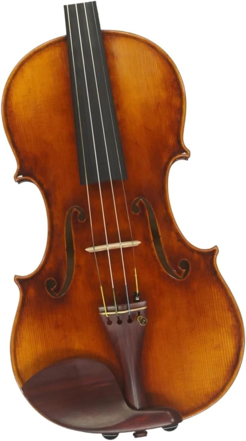 Christina V09 子供と大人のバイオリン学生または初心者のフルサイズ