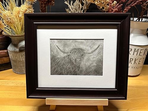 Highland Cow Bull Nature Wildlife Graphite Pencil Art Sketch Drawing Print Picture Limited Edition Titled 'A Wee Bit Irish' by David Allen (11x14