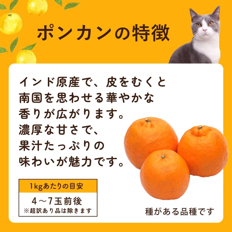 Amazon.co.jp: [ 池田鹿蔵農園 ] 有田みかん ポンカン（ みかん 甘い