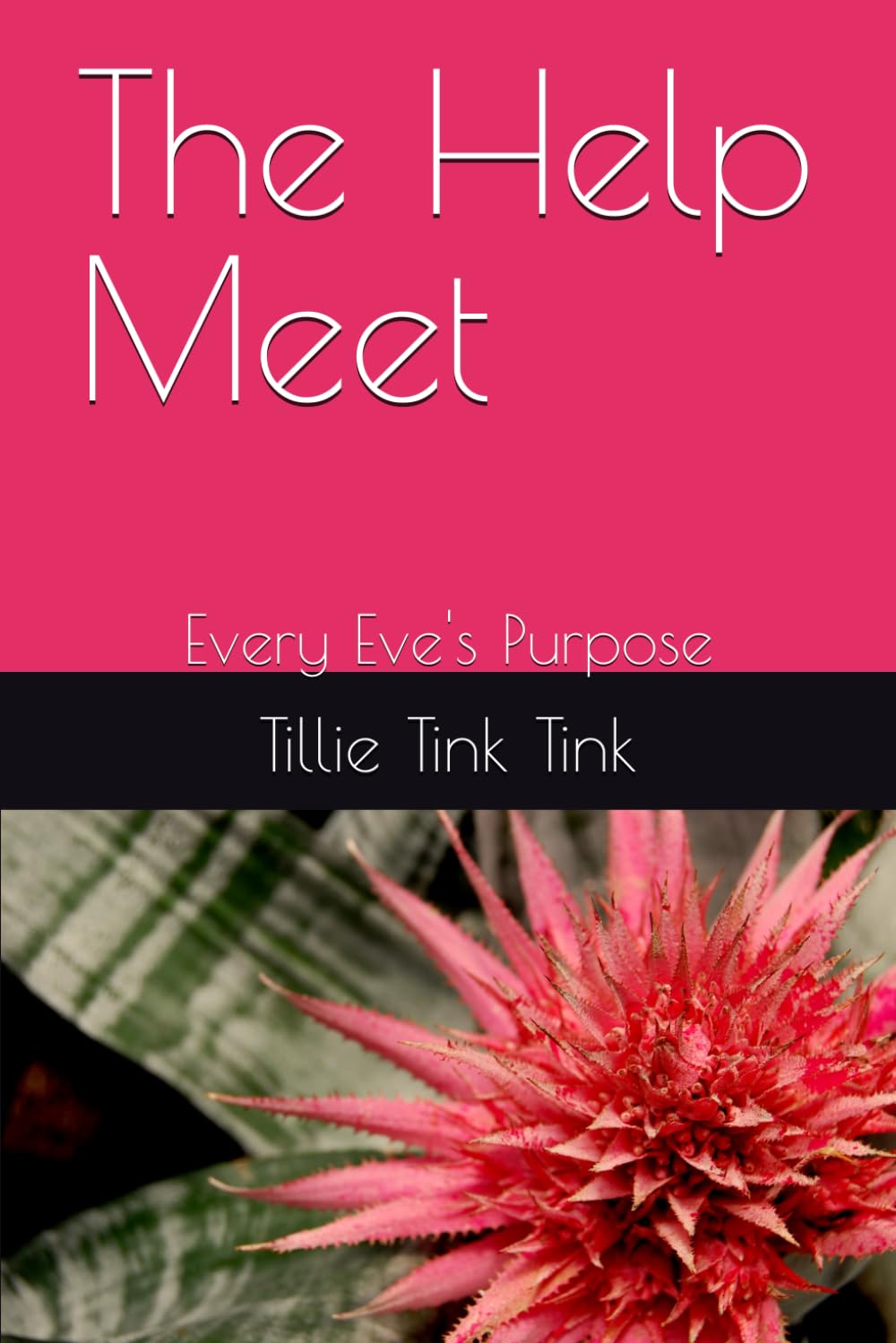 The Help Meet: Every Eve's Purpose