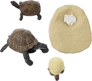 COLLBATH 1 Conjunto Modelo Cognitivo Da Vida Tartaruga Marinha Sapo Pequeno Animal Plástico Simulação Simulação De Tartaruga Modelo Do Ciclo De Vida Da Tartaruga Modelo Cognitivo Da