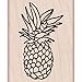 Hero Arts Pineapple Woodblock Stamp