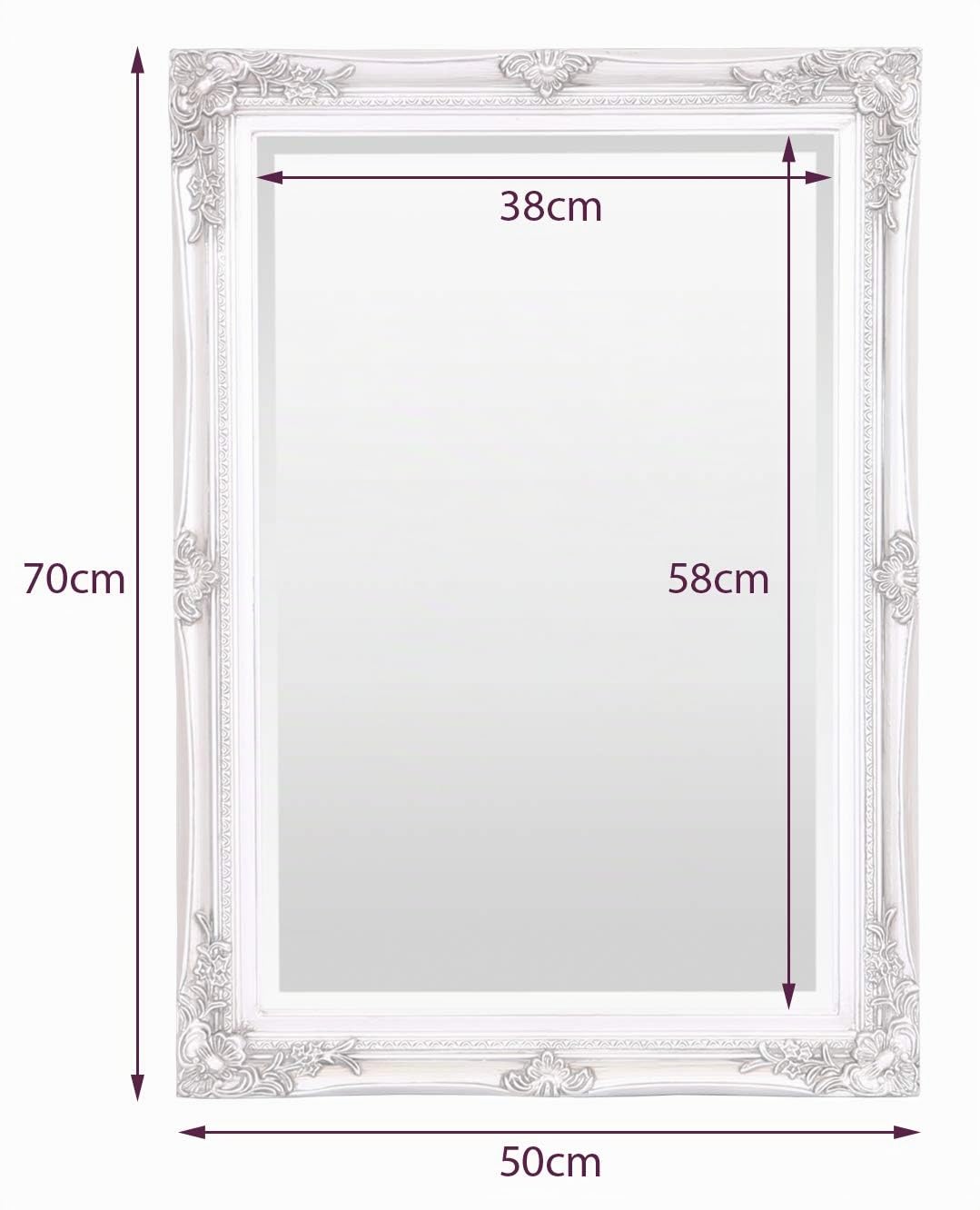Select Mirrors Rennes - Espejo de pared vintage, estilo barroco, antiguo, diseño francés, marco de madera maciza (50 x 70 cm, plata antigua)