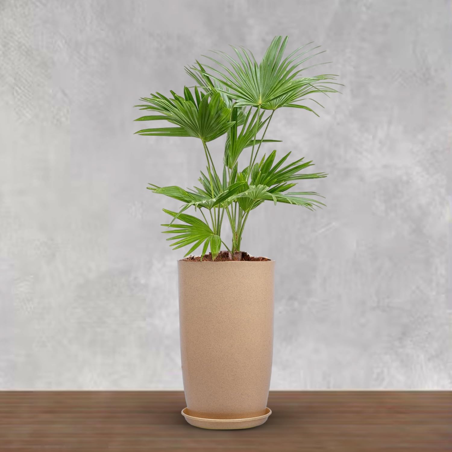 BonKaso Emerald Tower Planter Indoor/Outdoor - 18 Inch Tall Plastic Tower Pot, Durable, Lightweight Planter for Home Office Garden Balcony Plant gamla/gamale Beige Marble