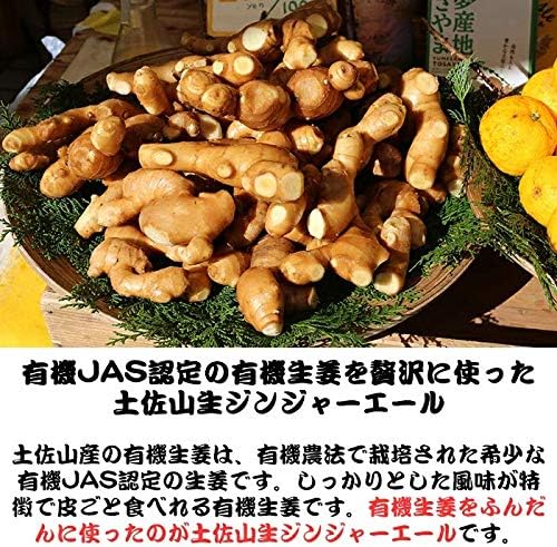 Amazon 土佐山生ジンジャーエール 辛口 無添加 テン菜糖 ビートグラニュー糖 有機栽培 無農薬 生姜 使用 高知県 Ginger Ale Ty 1本 Tosayama Yumesanchi 炭酸飲料 通販