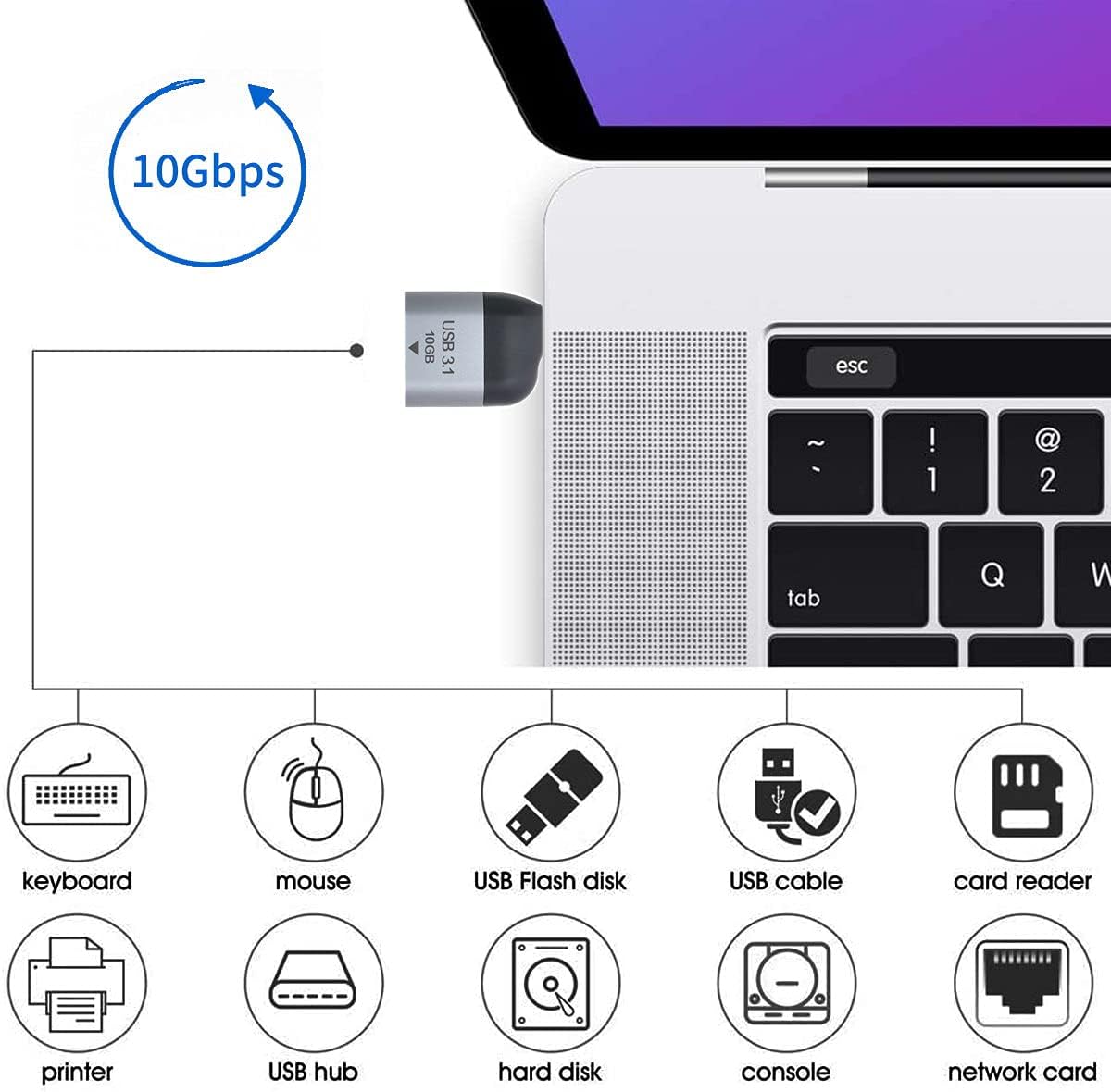 Encabezado De Panel Frontal Personalizado USB 3.1 Tipo-E A USB 3.0 Tipo-A Cable De Extensión Proveedor, Fabricant - Pruputo Al Por Mayor - PREMIER