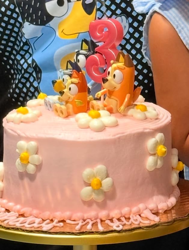 Customer Image