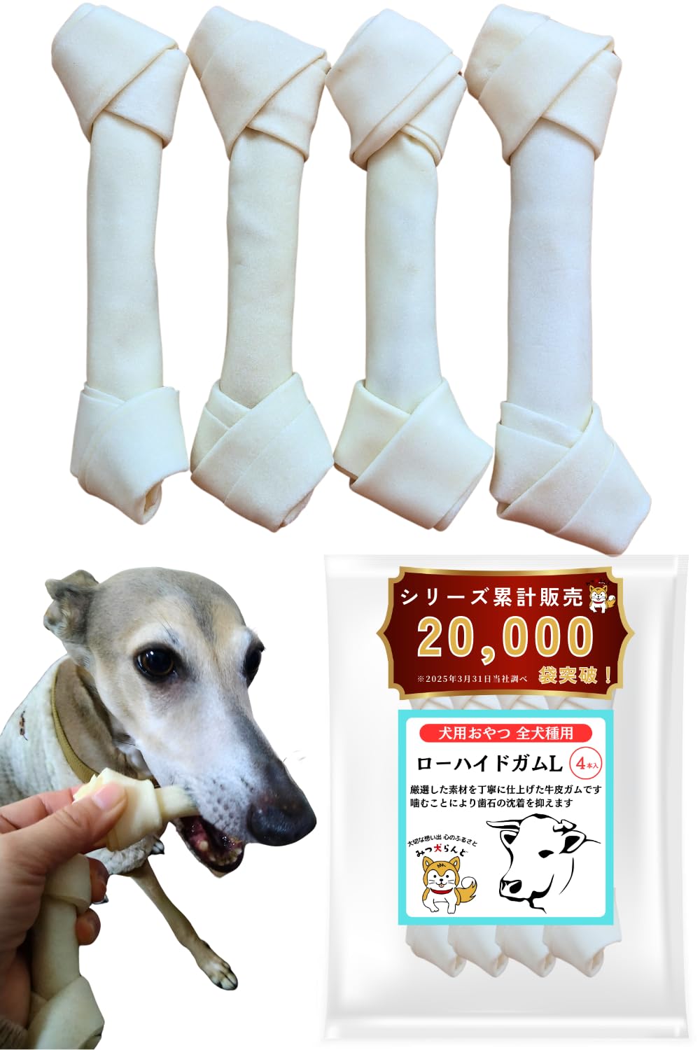 Amazon.co.jp: 【初トライ応援／賞味期限保証あり】みつ犬らんど