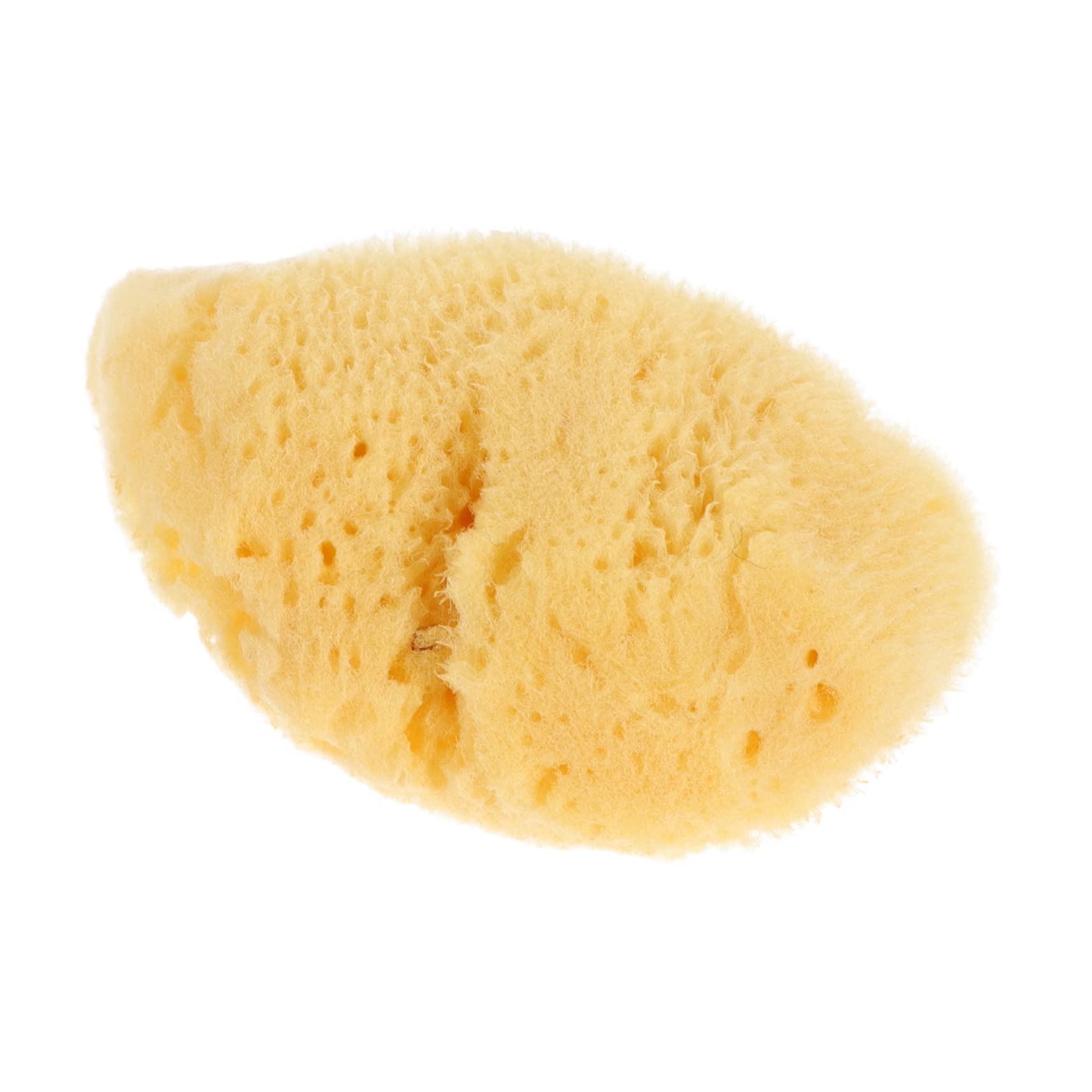 Gadpiparty Watercolor Sponge Random Shape Artist Sponges for Graffiti DIY Painting Craft Tools for Home Kindergarten Amusement Parks