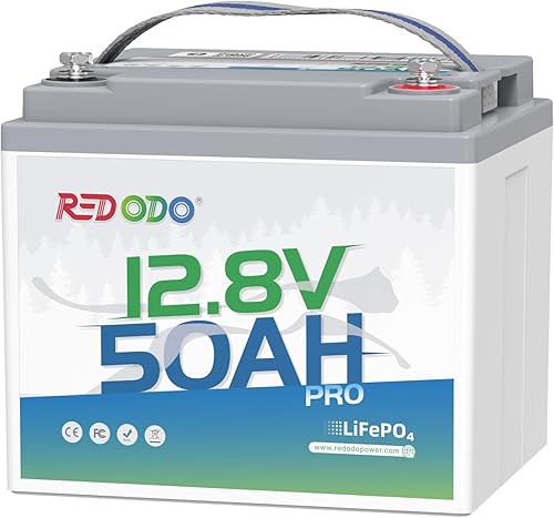 Redodo Batería de litio de 12 V 50 Ah, batería portátil LiFePO4 de 50 Ah con BMS de 50 A, 640 Wh, hasta 15000 ciclos, ideal para motor de arrastre,