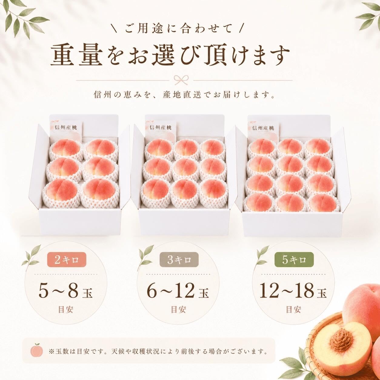 ワッサー桃4.5kgクール便 Amazon.co.jp: ワッサー ご家庭用に ちょっとした贈り物にも 桃