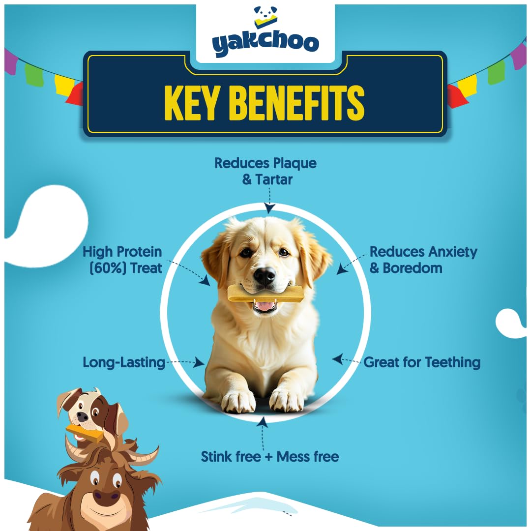 Yakchoo Premium Himalayan Yak Chews for Dogs 140g(Medium - 2 Chews), 70 g (Pack of 2) - Image 3